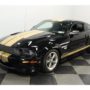 Mustang SHELBY GT 500 – 504 €